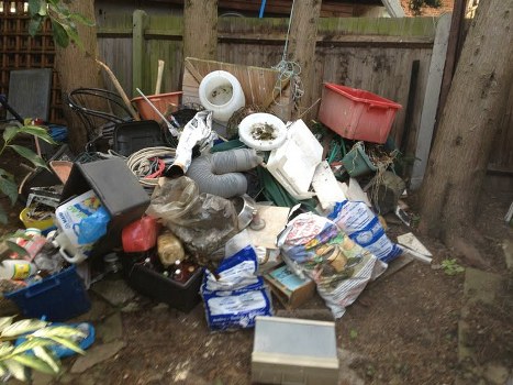 Professional waste removal team at work in Whitechapel