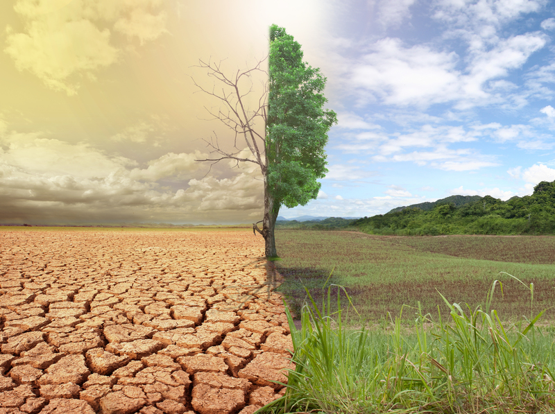 Achieve a Fresh Start with Successful Office Clearing Tactics